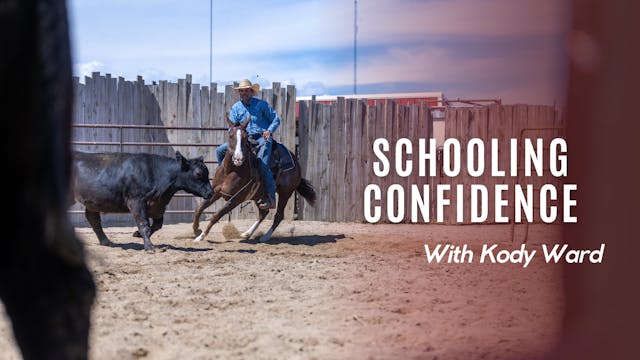 Schooling Confidence