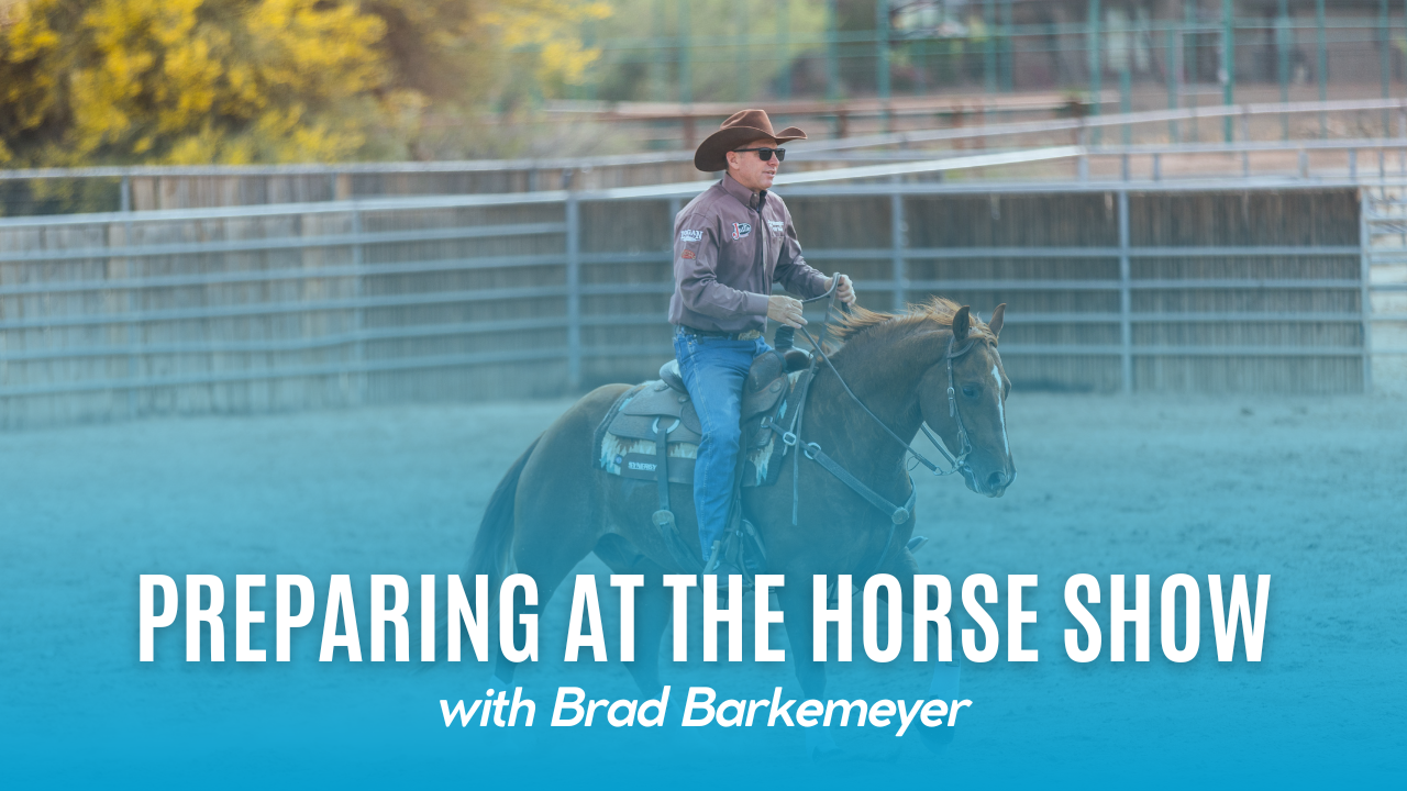 Preparing at the Horse Show