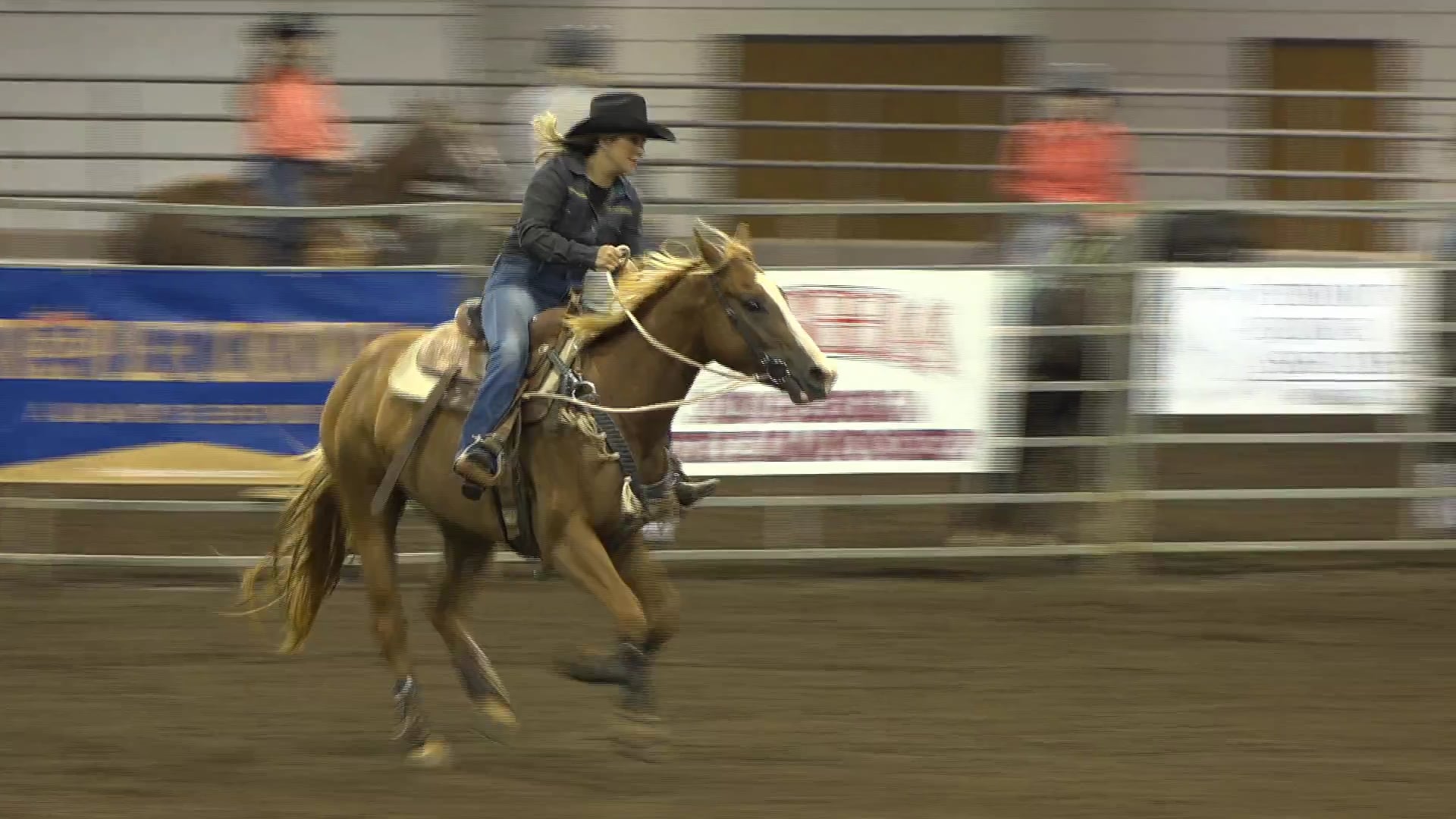 2019 NBHA GA Op1 #126-130