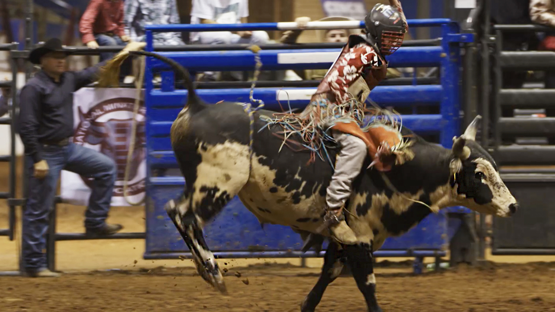 2017 International Mini Bullriders Association Finals