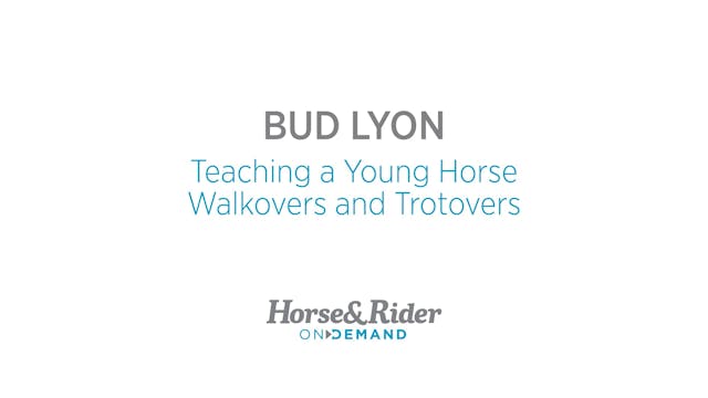 Teaching a Young Horse Walkovers and ...