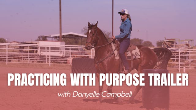 Danyelle Campbell: Practicing with Pu...