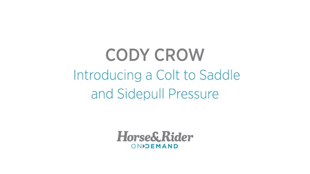 Introducing Colt to Saddle and Sidepull Pressure