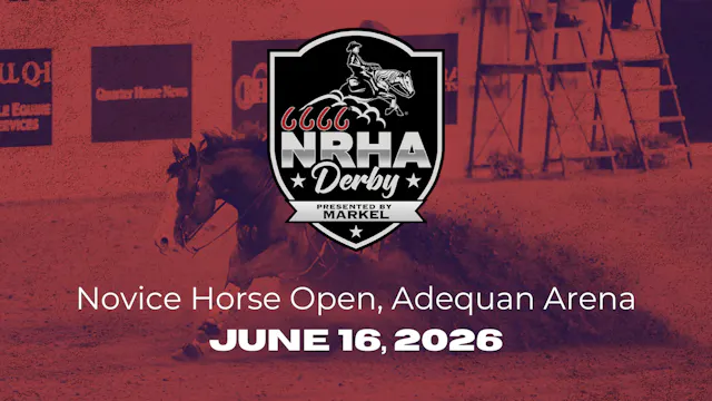 Novice Horse Open | 2026 6666 NRHA De...
