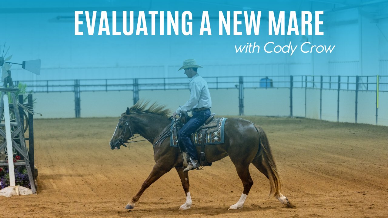 Cody Crow Evaluates a New Mare