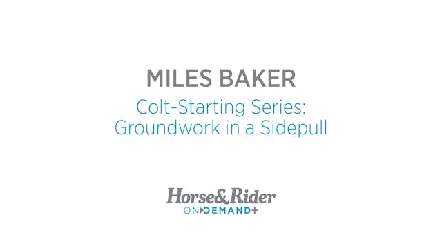 Colt-Starting Series:Groundwork in a ...