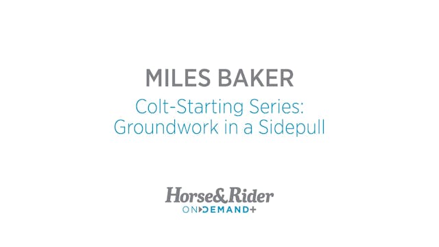 Colt-Starting Series:Groundwork in a ...