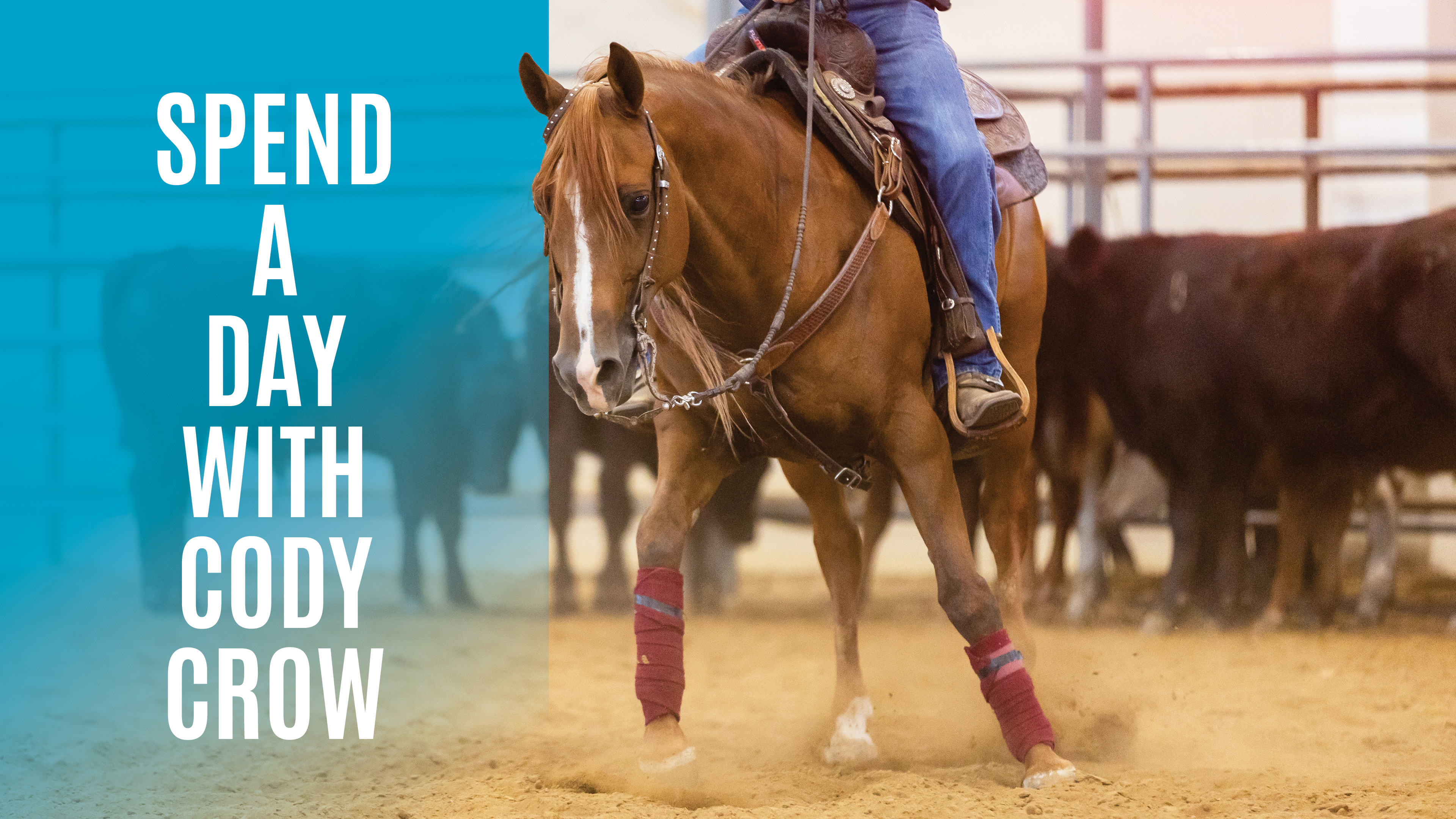 Spend a Day with Cody Crow