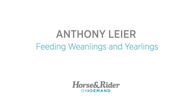 Feeding Weanlings and Yearlings