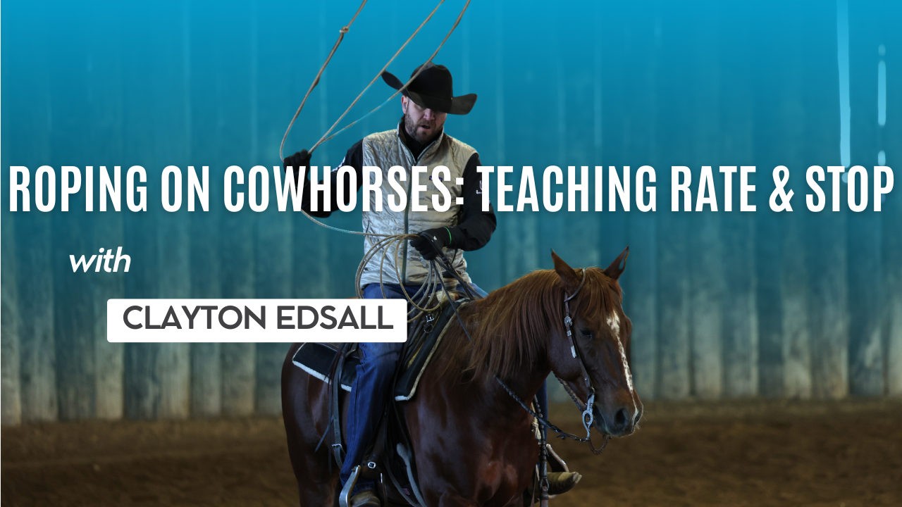 Roping On Cowhorses: Teaching Rate and Stop with Clayton Edsall