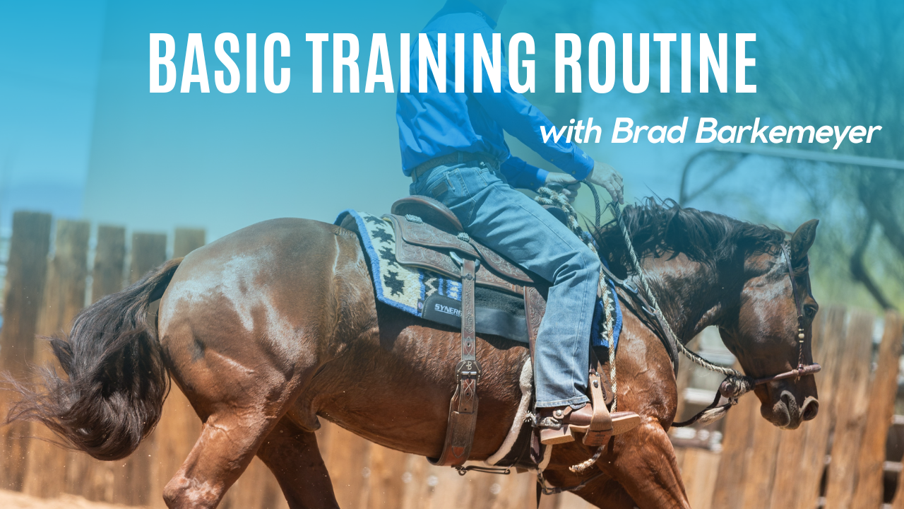 Basic Training Routine