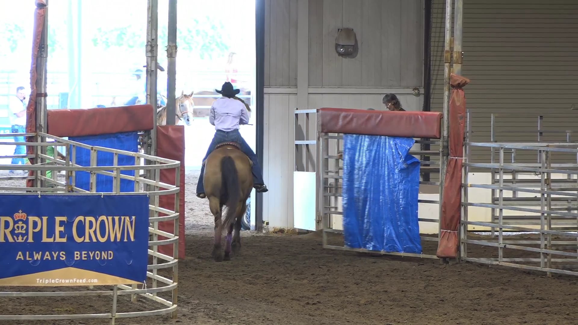 2019 NBHA GA Op1 #321-325