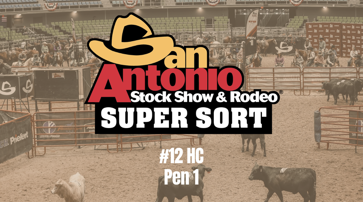 #12 HC | Cinch RSNC San Antonio Stock Show & Rodeo Super Sort | Pen 1 | 2/23/26
