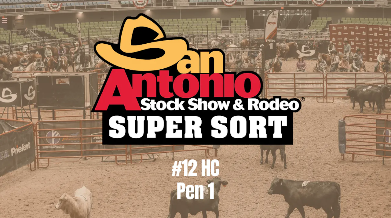 #12 HC | Cinch RSNC San Antonio Stock Show & Rodeo Super Sort | Pen 1 ...