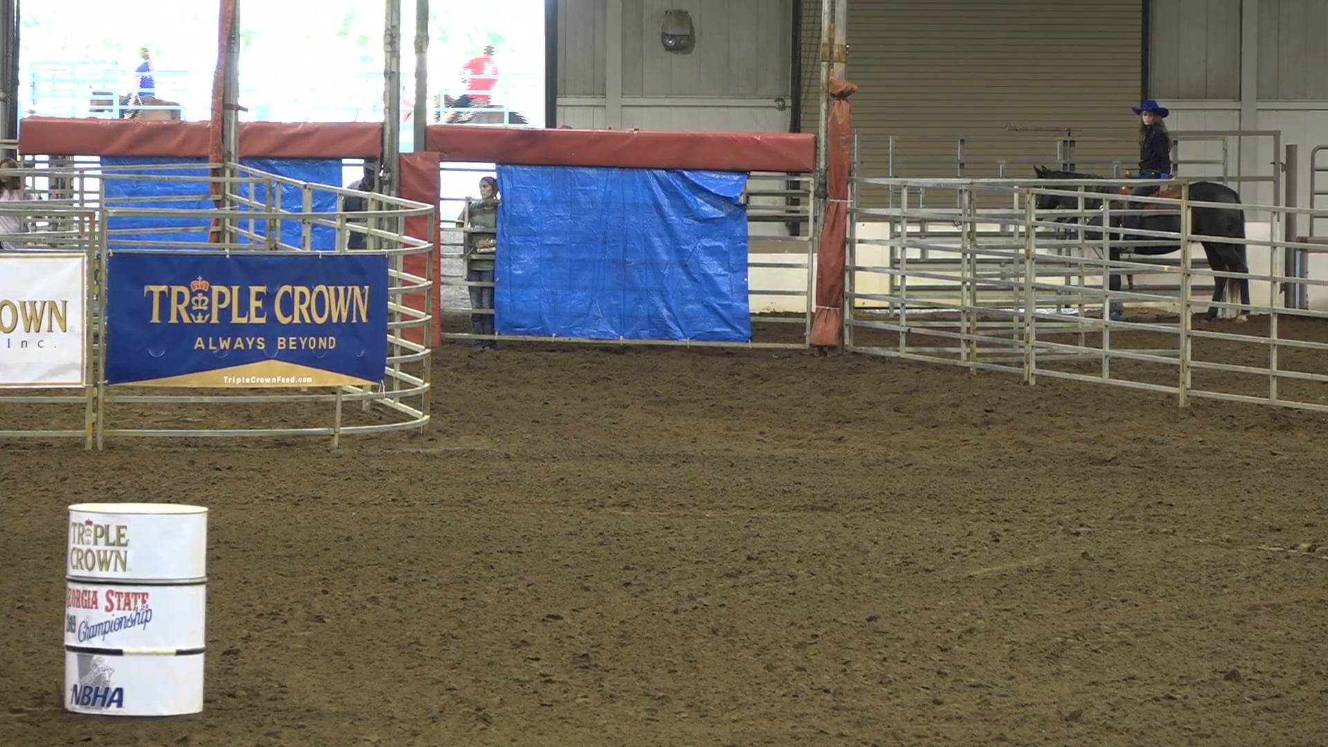 2019 NBHA GA Op1 #241-245