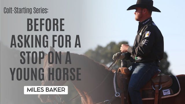 Colt-Starting Series: Before Asking f...