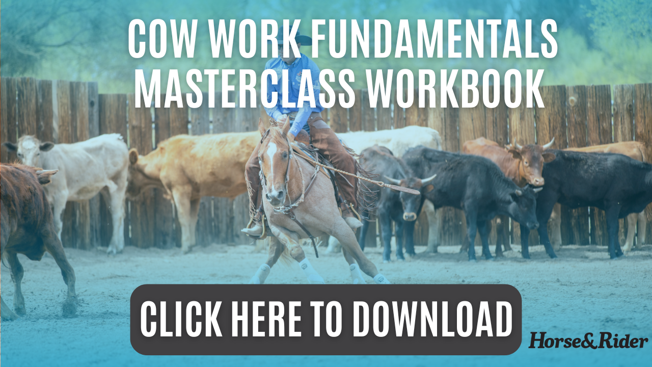 Cow Work Fundamentals Workbook