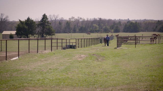 TEACHING A YEARLING TO GIVE TO PRESSU...