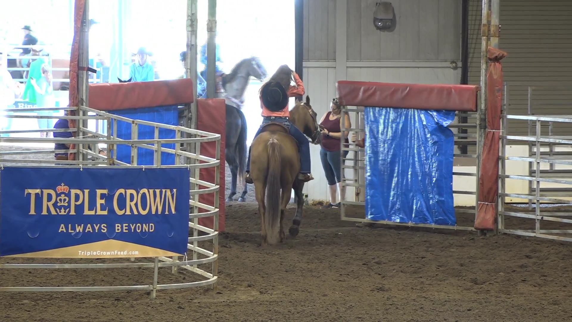 2019 NBHA GA Op1 #131-135