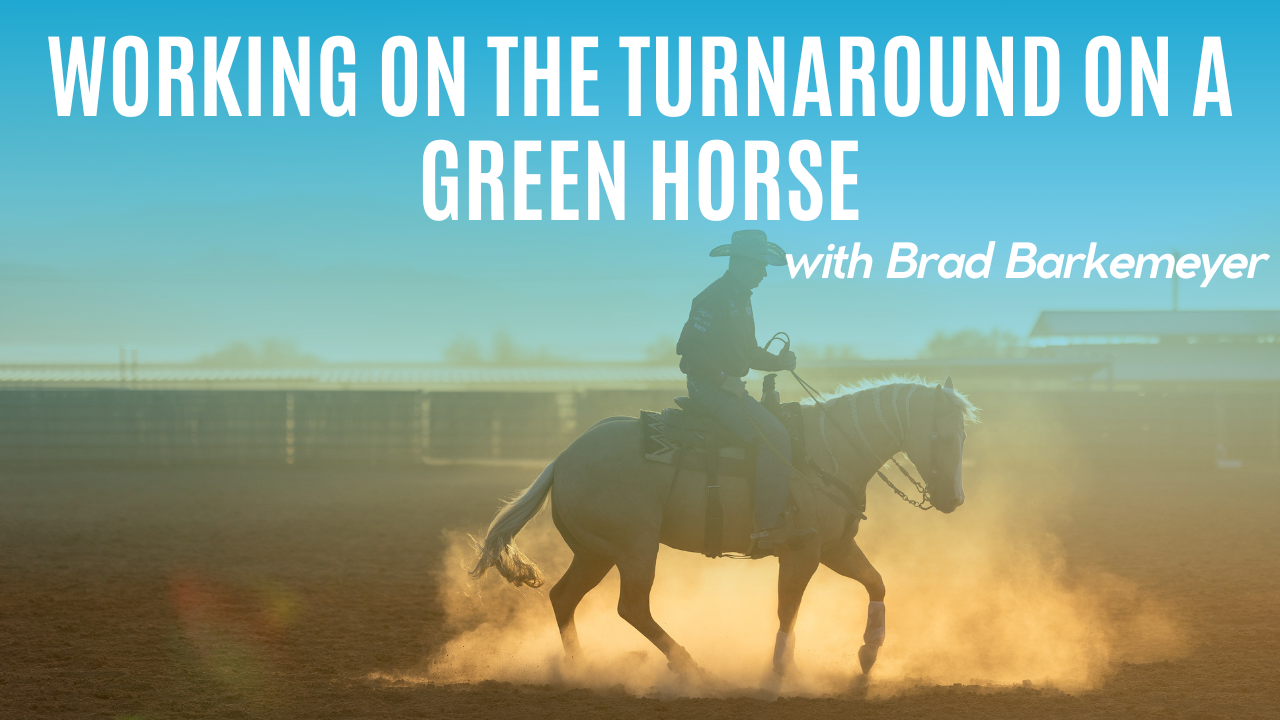 Working on the Turnaround on a Green Horse
