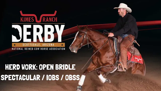 Herd Work: Open Bridle Spectacular / ...
