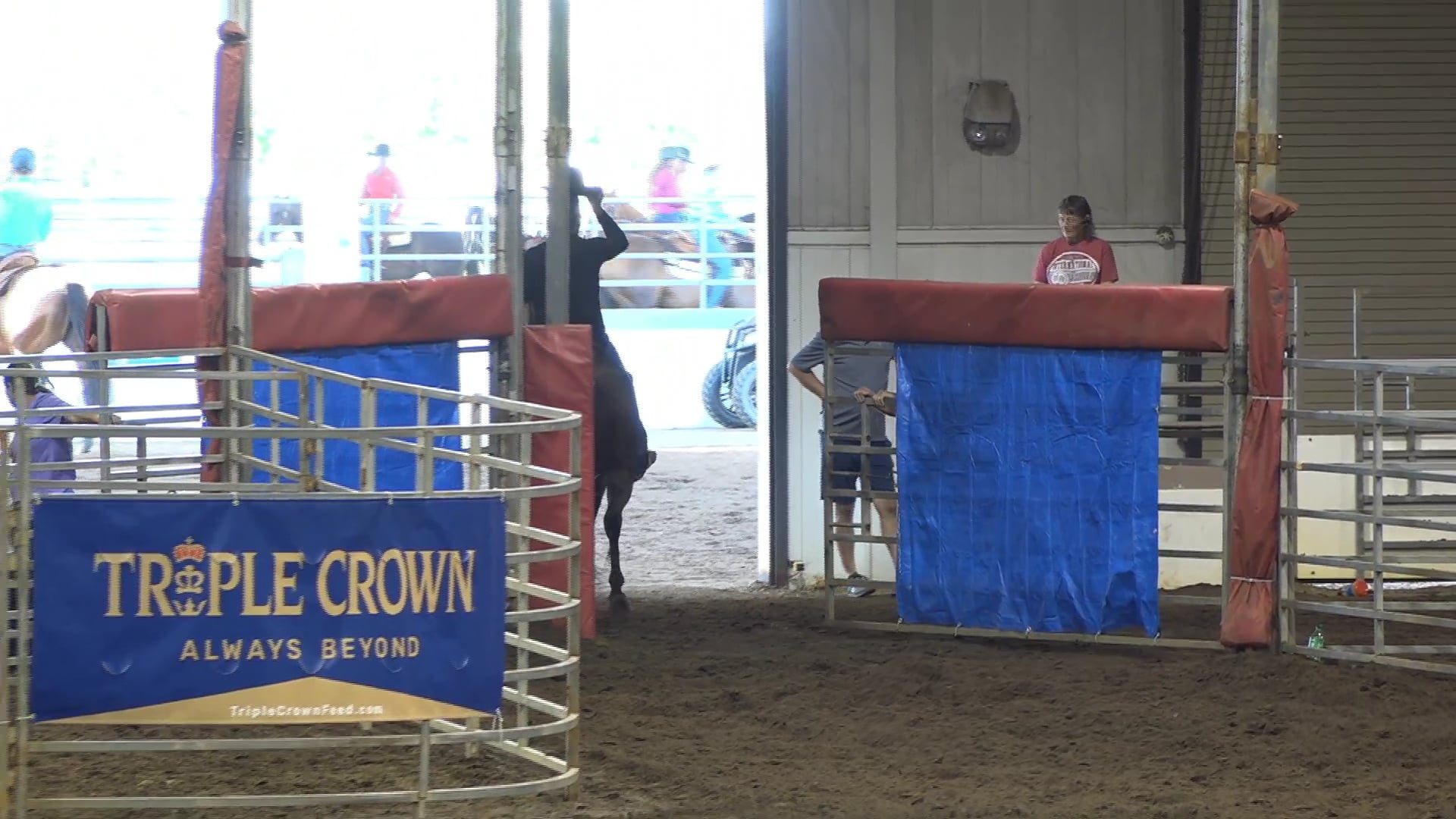 2019 NBHA GA OF #026-030