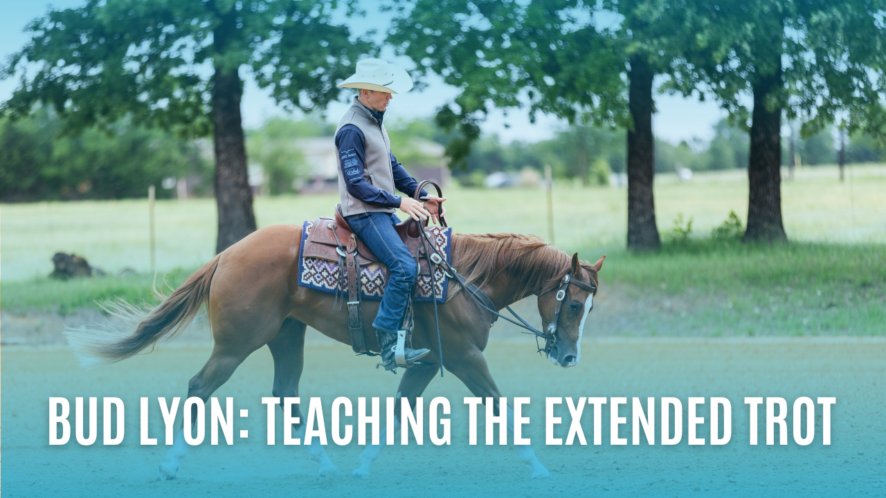Bud Lyon: Teaching the Extended Trot