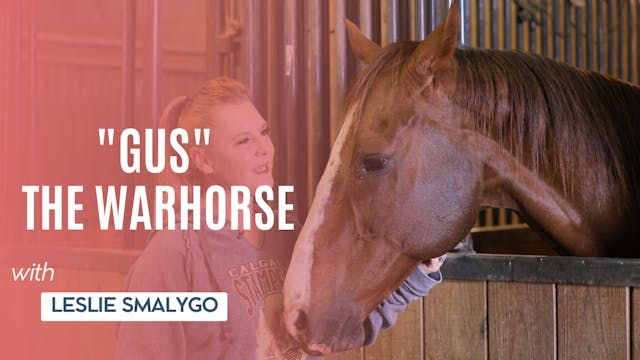 "Gus" The Warhorse