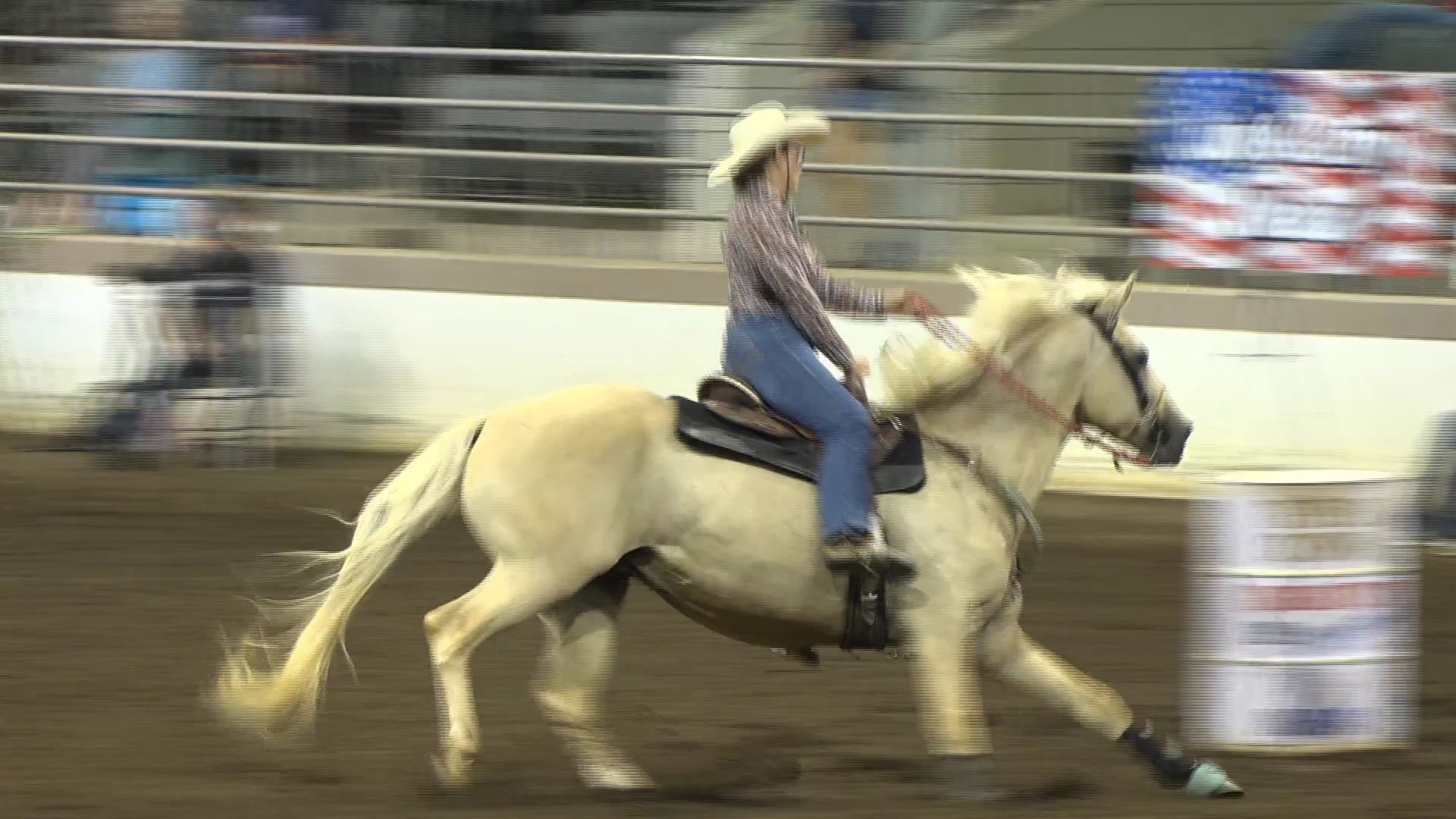 2019 NBHA GA Op1 #306-310