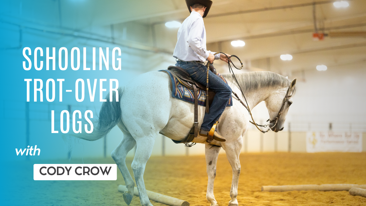 Schooling Trot-Over Logs