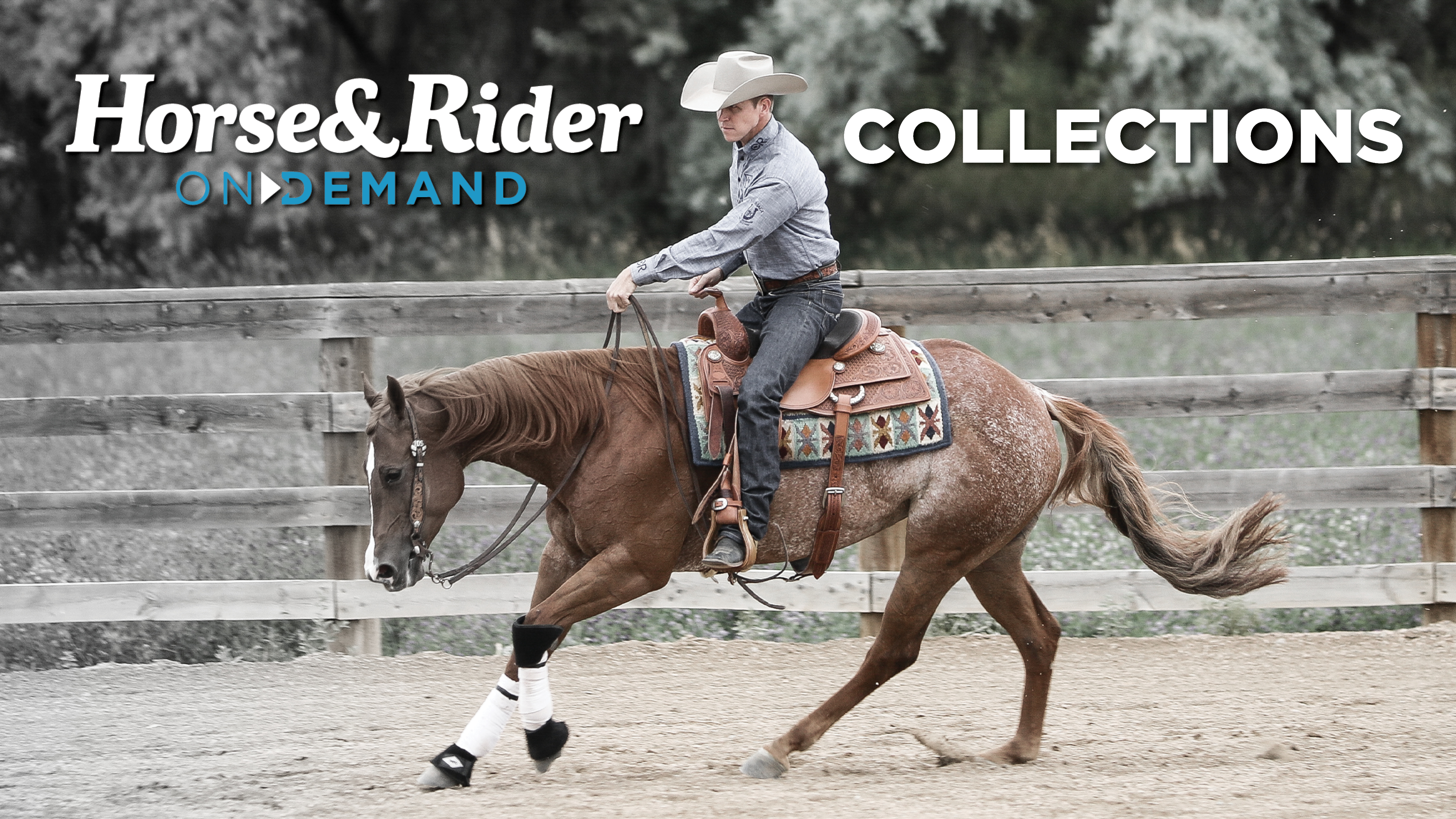 Horse&Rider OnDemand Collections
