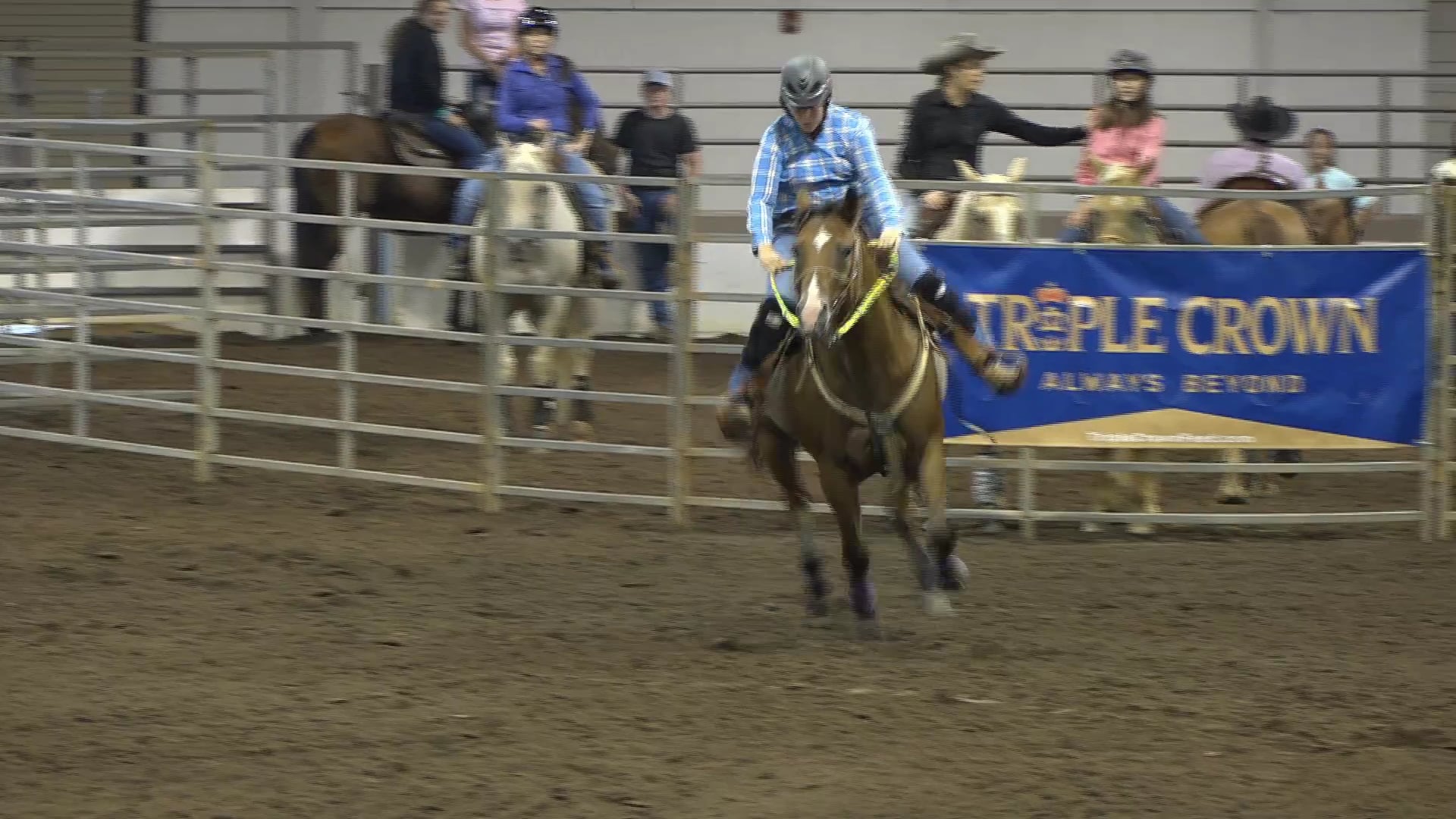 2019 NBHA GA Op1 #411-415