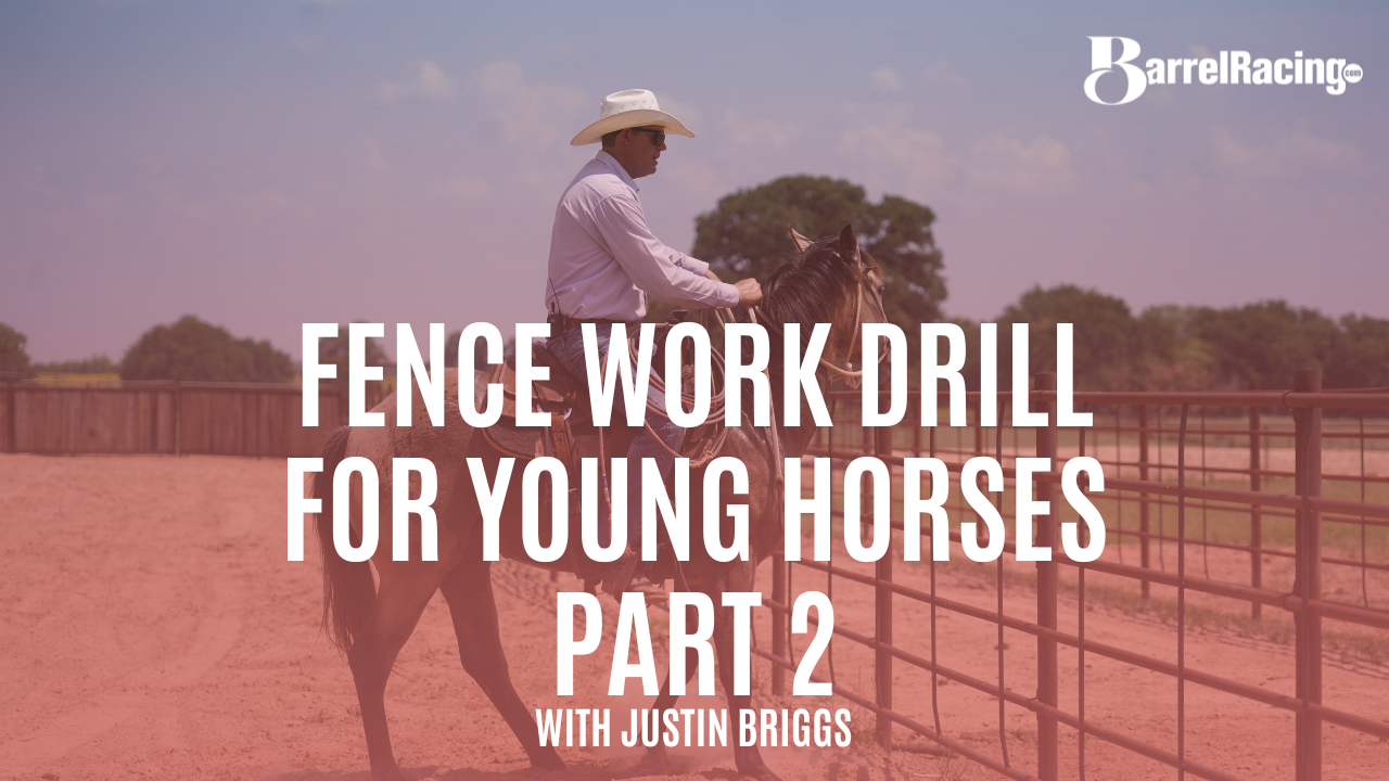 Fence Work Drill for Young Horses Part 2