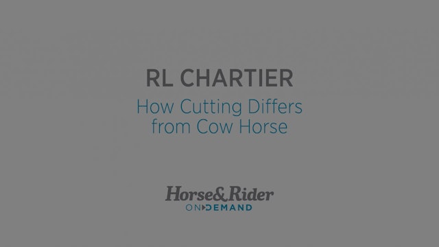How Cutting Differs from Cow Horse