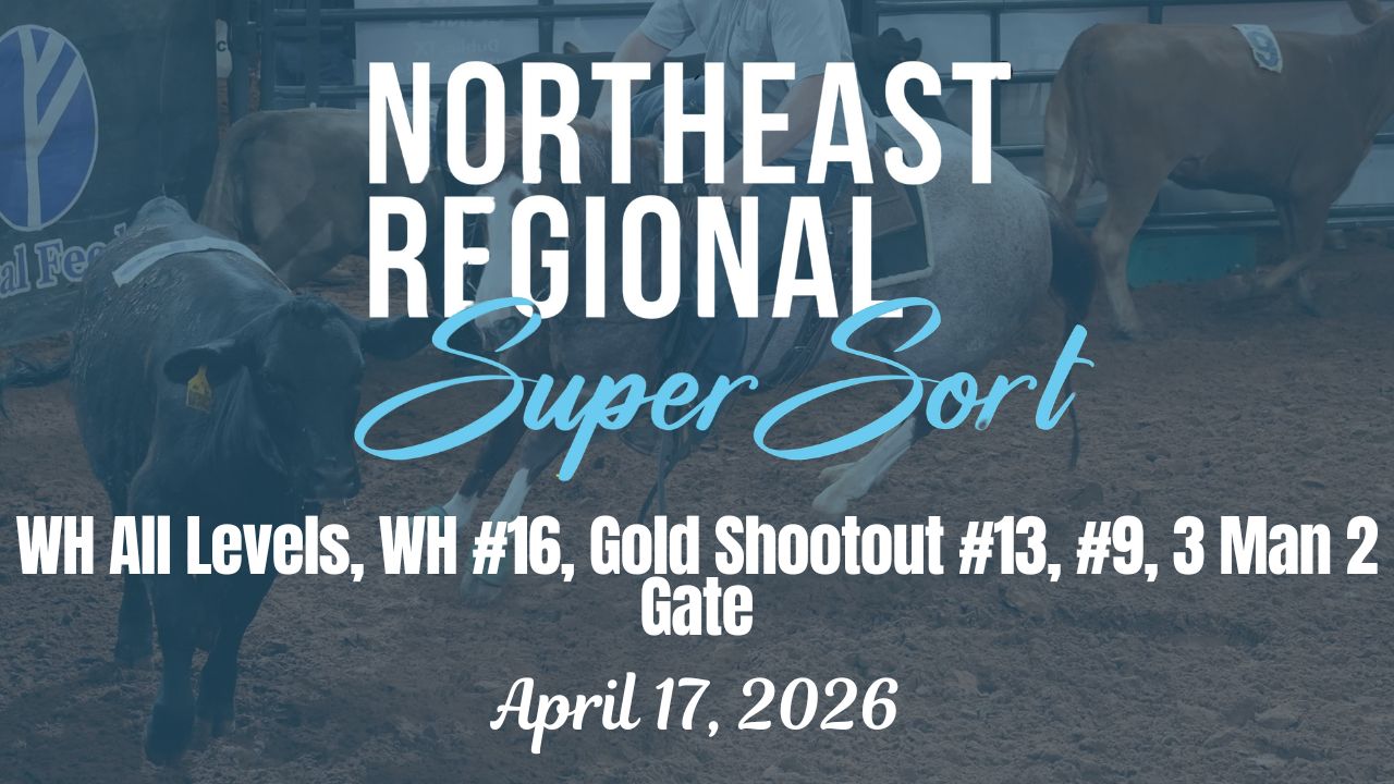 All Levels, #16, #13, #9, 3M2G | Cinc...