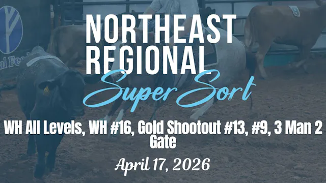 All Levels, #16, #13, #9, 3M2G | Cinc...