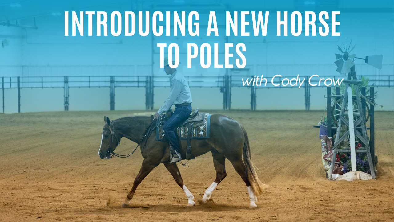 Cody Crow: Introducing a New Horse to Poles
