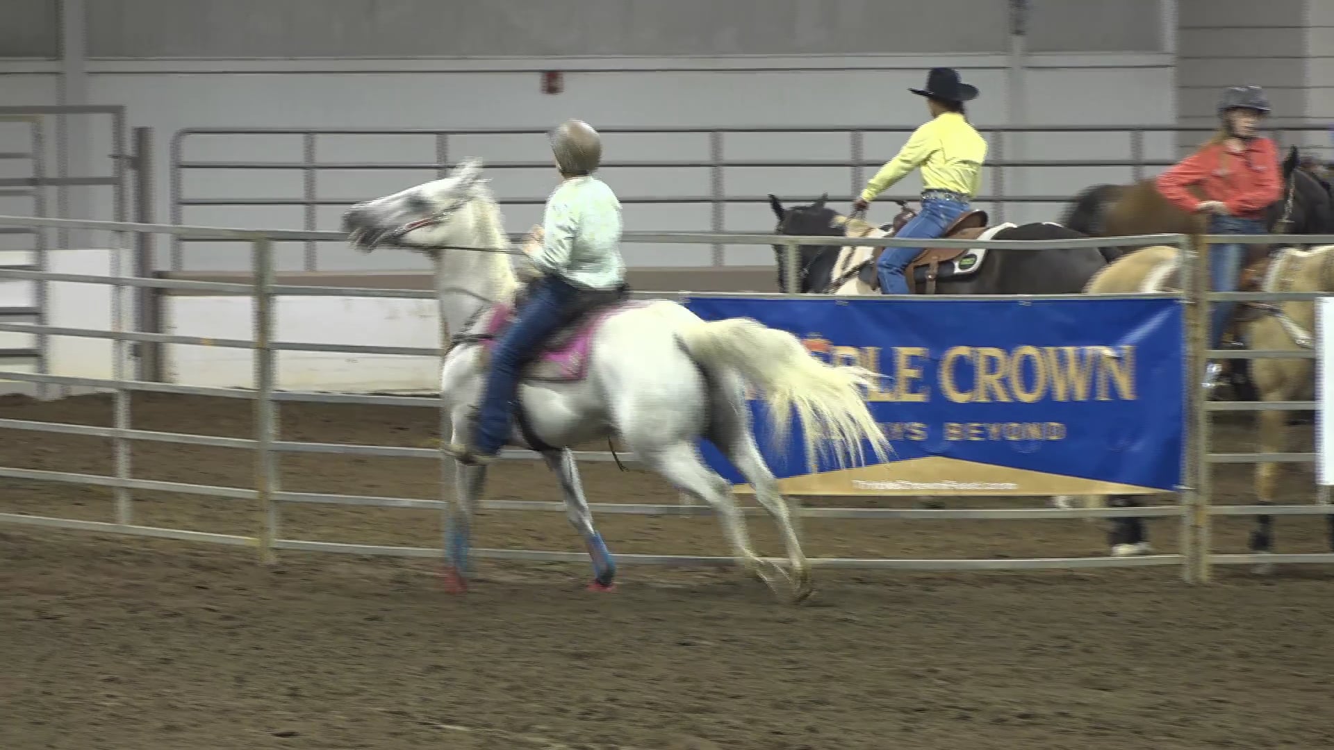 2019 NBHA GA Op2 #030-026