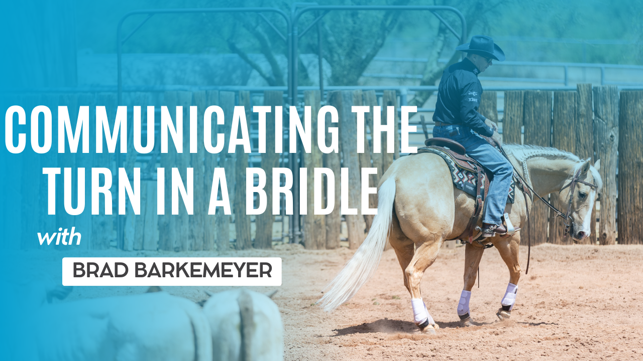 Communicating the Turn in a Bridle