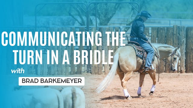 Communicating the Turn in a Bridle