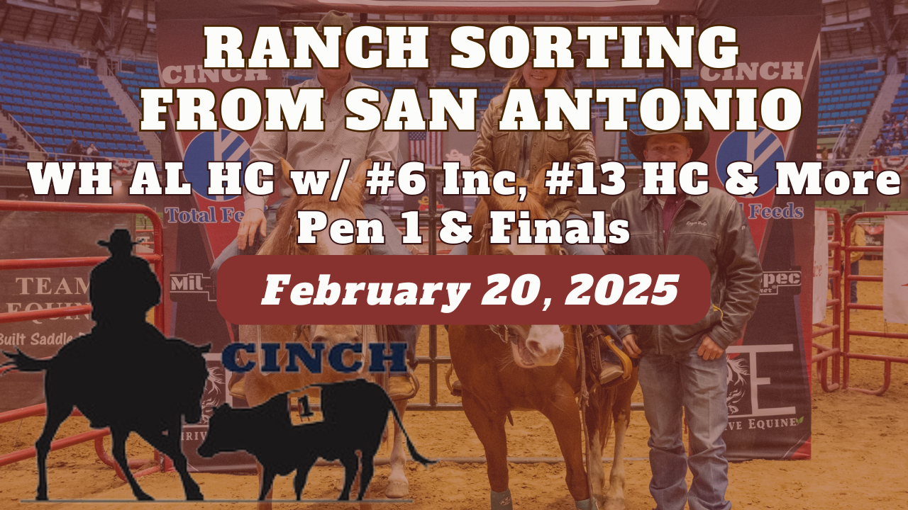 WH AL HC w/ #6 Inc, #13 HC & More | P...