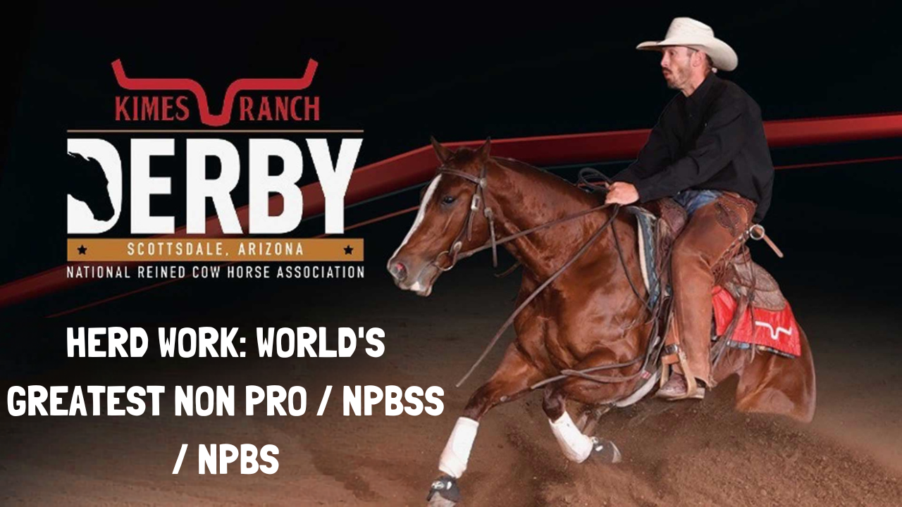 Herd Work: World's Greatest Non Pro / NPBSS/NPBS | 2026 NRCHA Derby - NorthHall