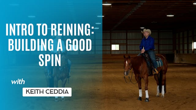 Intro to Reining: Building a Good Spin