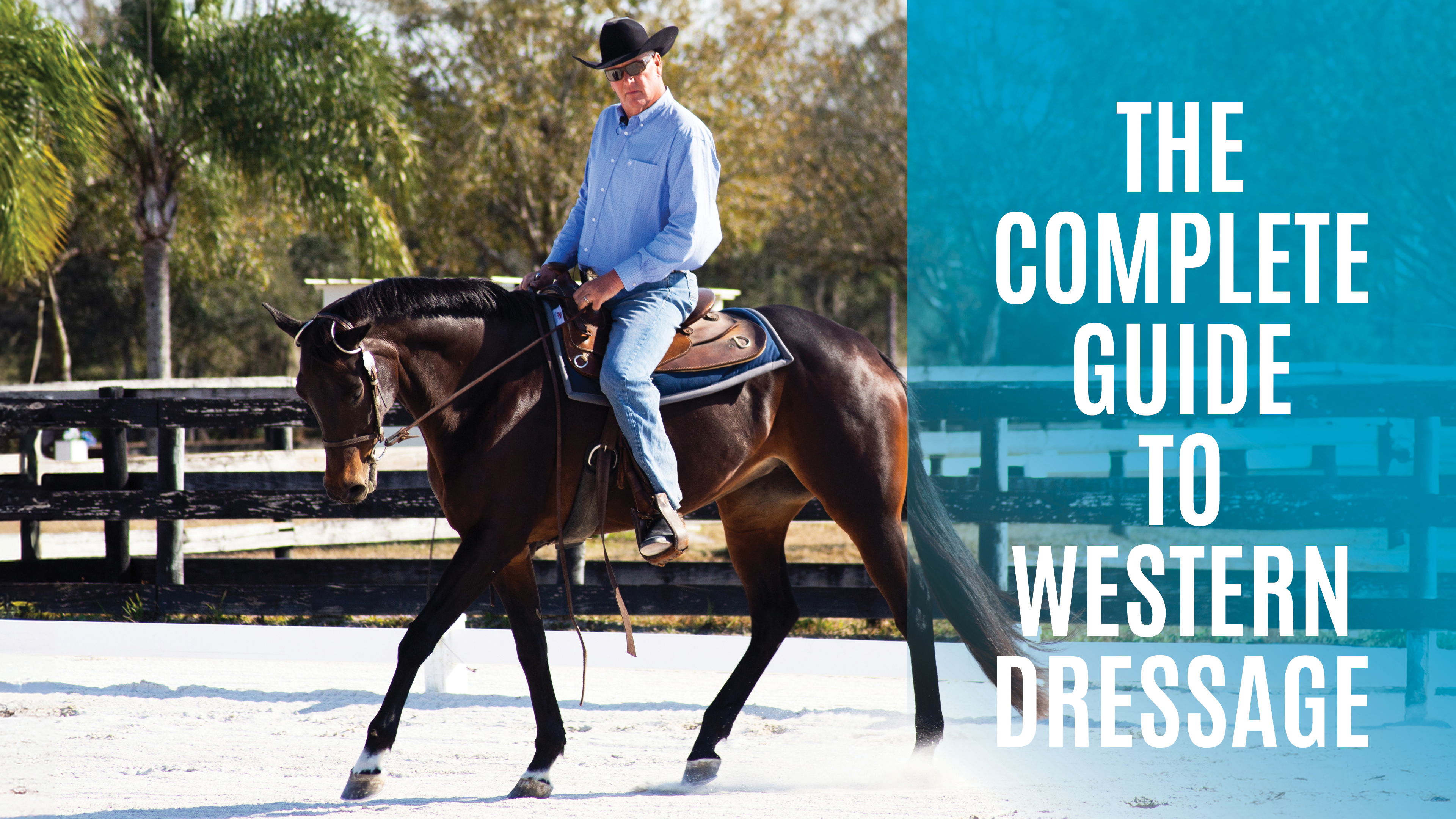 The Complete Guide to Western Dressage