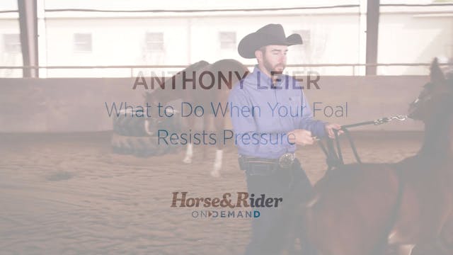 What to Do When Your Foal Resists Pre...