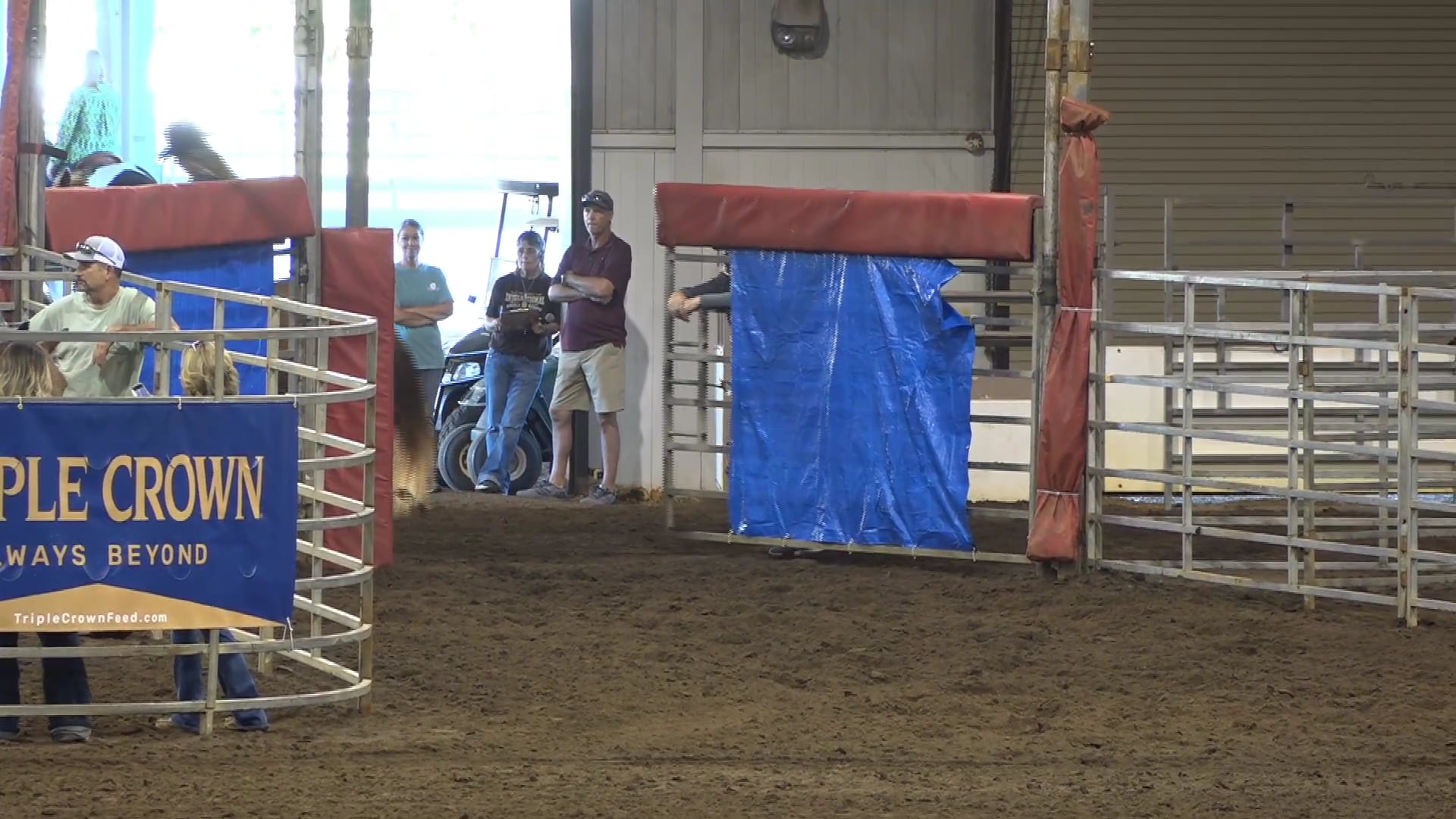 2019 NBHA GA Op1 #031-035