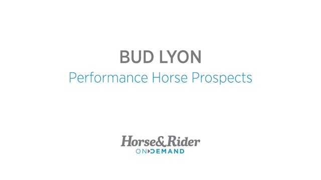 Performance Horse Prospects