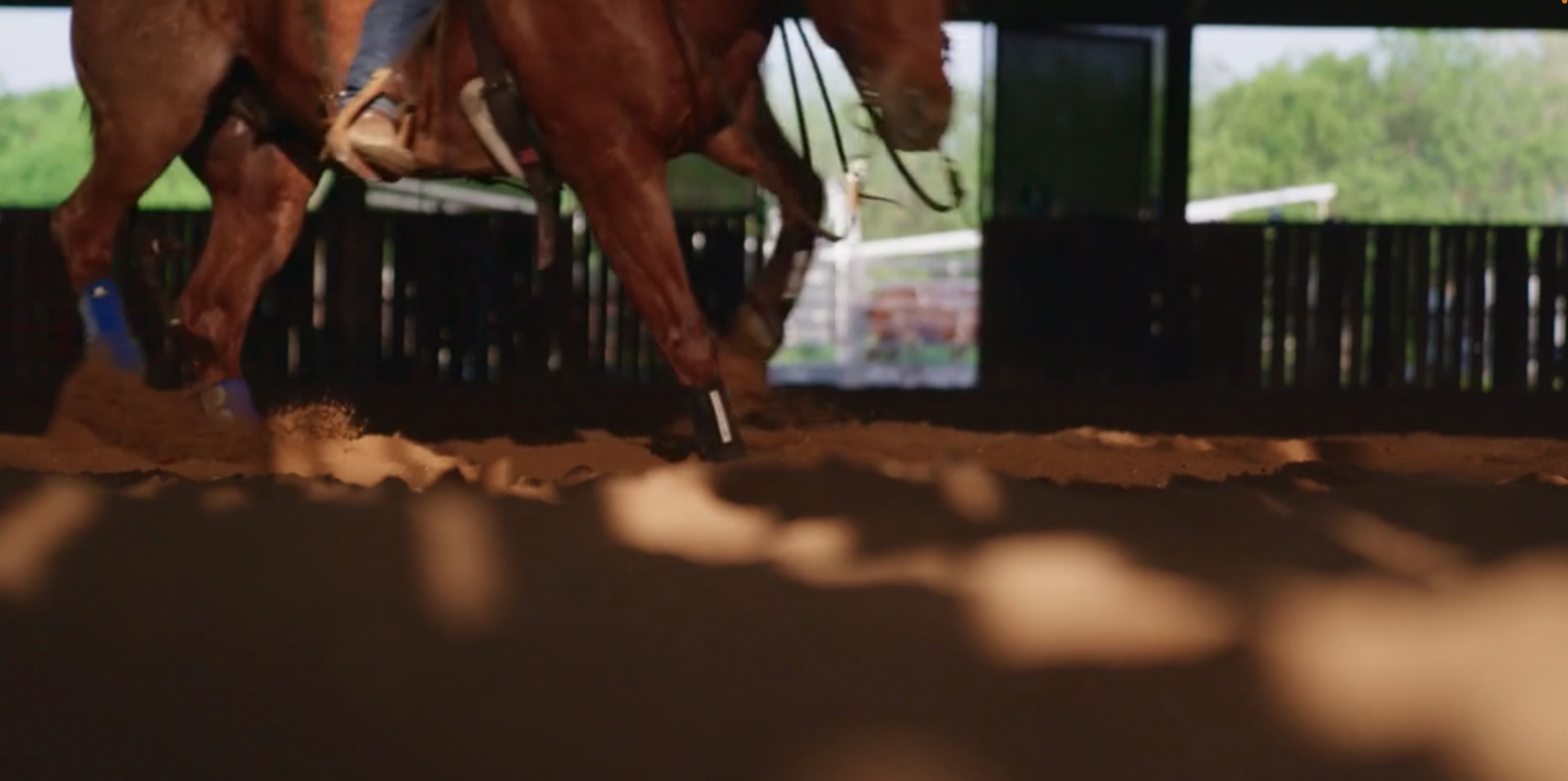 The Making of A Masterpiece: Cow Sense and Fleet Feet