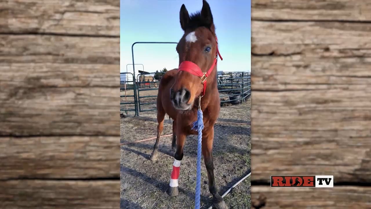 Texas Classic and Guthrie, OK
