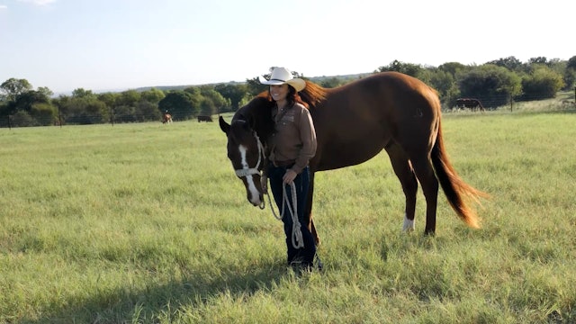 AQHA/WPRA Horse of the Year Famous Lil Jet